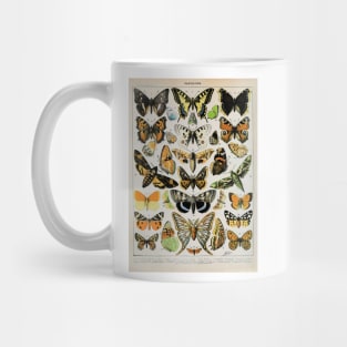 Papillon III Vintage French Butterfly & Moth Chart by Adolphe Millot Mug